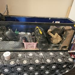 Bearded Dragon Home