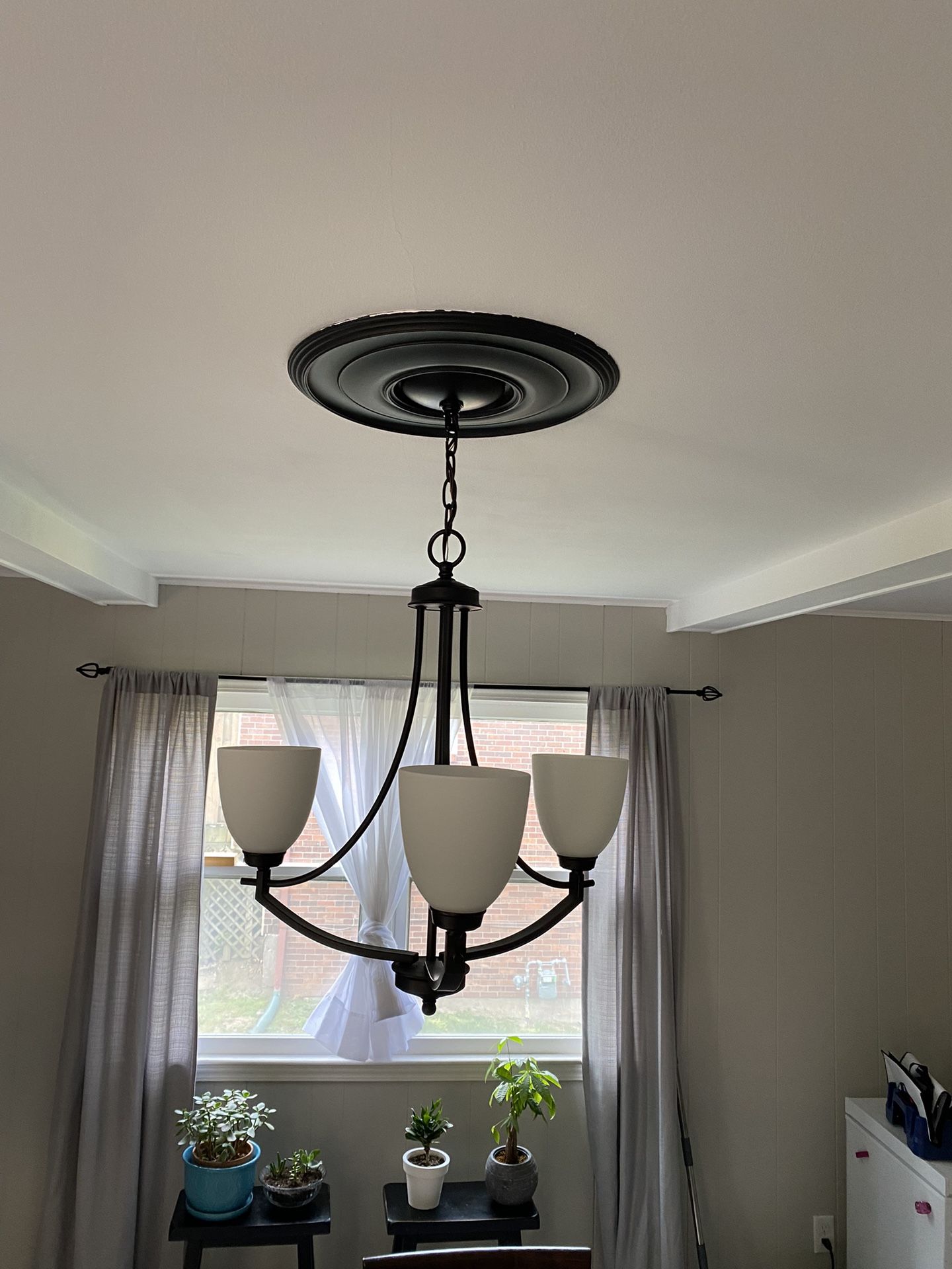 Dining Room Light Fixture