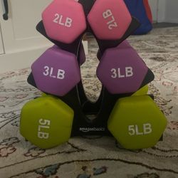Dumbbell Set (2,3,5 Lb)