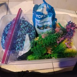 Fish Tank Stuff