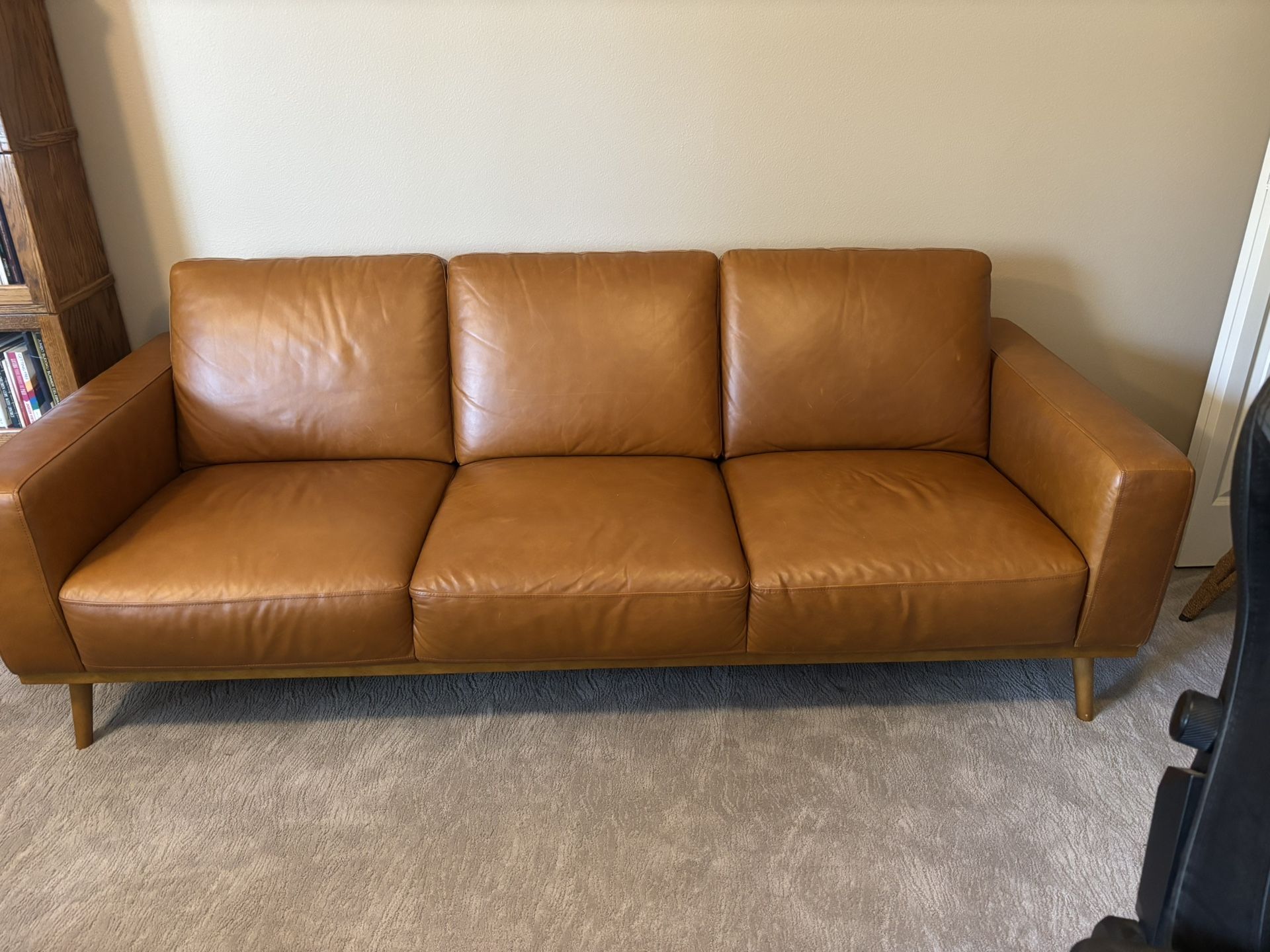 Leather Sofa Couch
