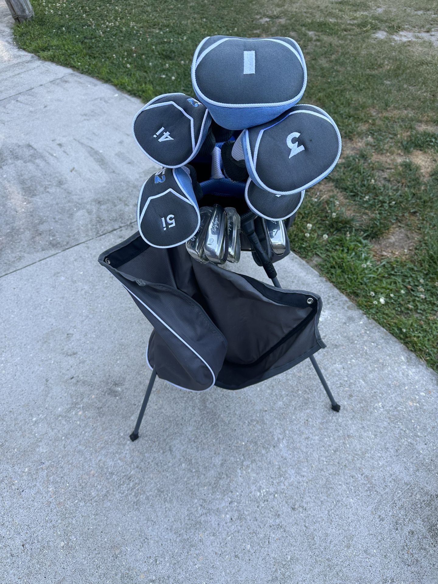 Brand new lady Hagen DMS2 Golf Clubs & Bag