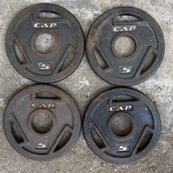 Weight Disc 5 Pounds 