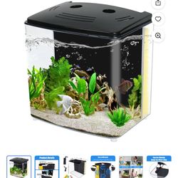 Small Fish Tank 