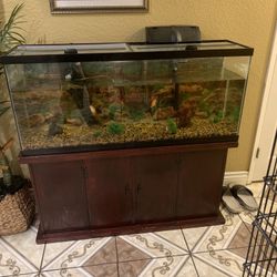 55 Gallon Fish Tank With The Stand 