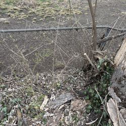 Lawn and Yard Work 