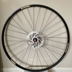 DT Swiss 29r/700cm tubeless Rim