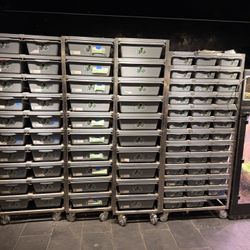 🔥 COMPLETE BALL PYTHON BREEDING COLLECTION + EQUIPMENT 🔥 TURNKEY SETUP – $12,000 OBO