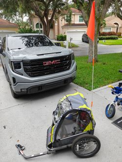 Allen Bicycle trailer/jogger combo - 1 seater