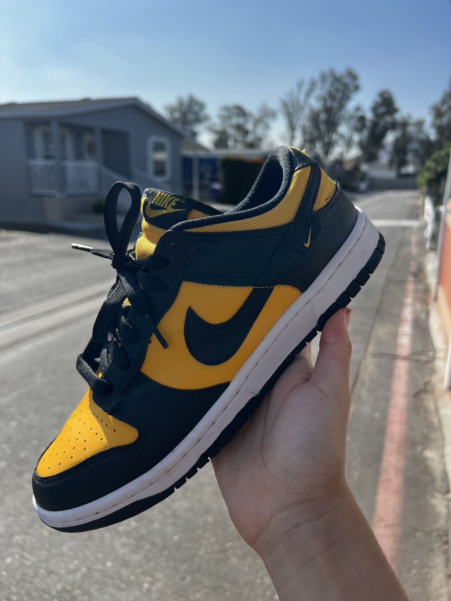 Nike Dunk