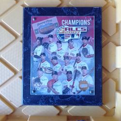 Boston Red Sox 2007 Picture