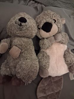 Otter & Other stuffed animal