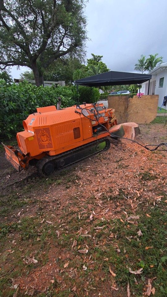 Stump Grinding