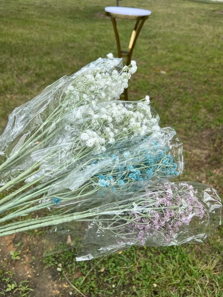 Baby BREATH FLOWER FOR SALE
