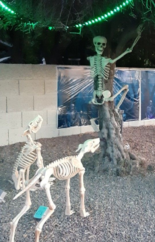 Animatronic dog skeleton and coyote. -- Halloween