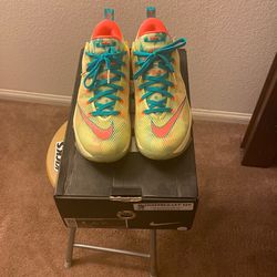 Nike Lebron XII 12 Low Lebronald Palmer