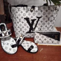 Purse And Shoe Set 