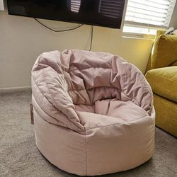 Big Joe Chair- Bean Bag Chair 