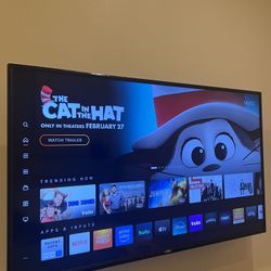 50 Inch Vizio TV with Remote 