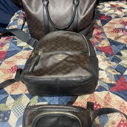 Coach Travel Bag
