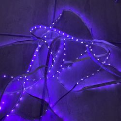 Black Light Led Strand