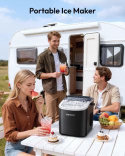 Ice maker