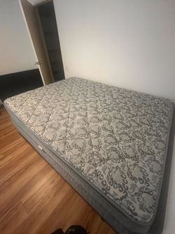 Queen Bed