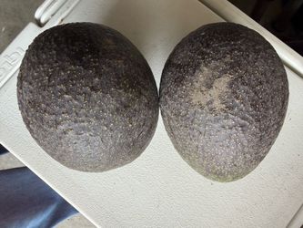 Avocados
