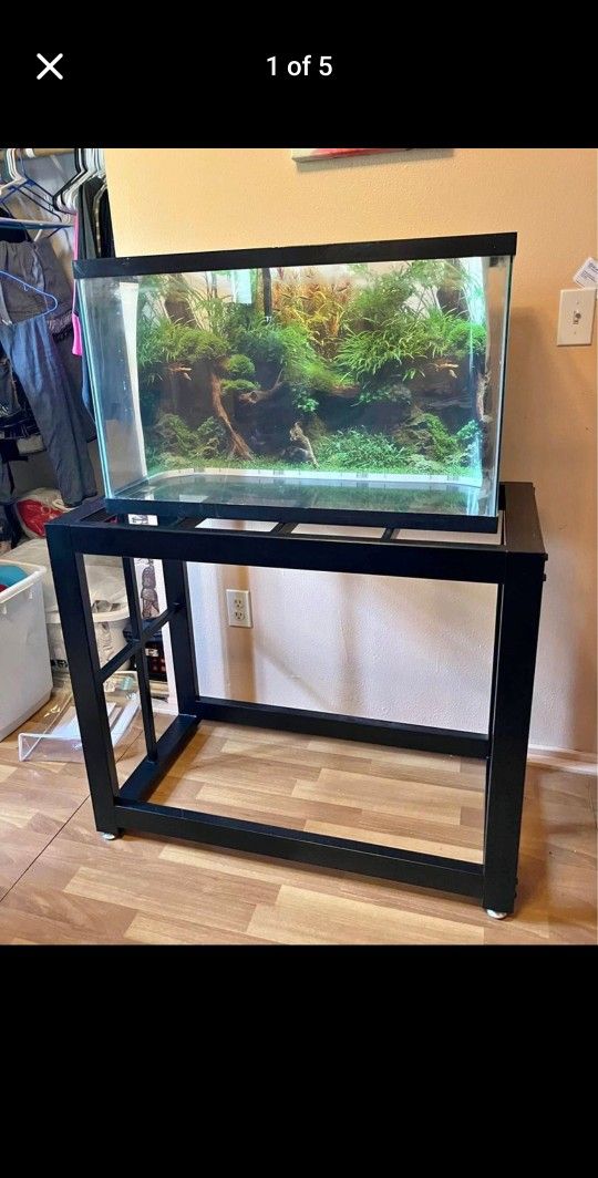 35 Gallon