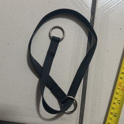 Small Medium Dog Training ChokerPick Up Only 