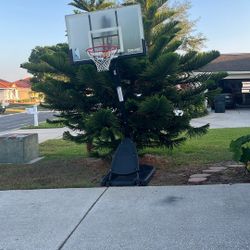Spaulding Basketball Hoop Ajustable Up To 10 Feet
