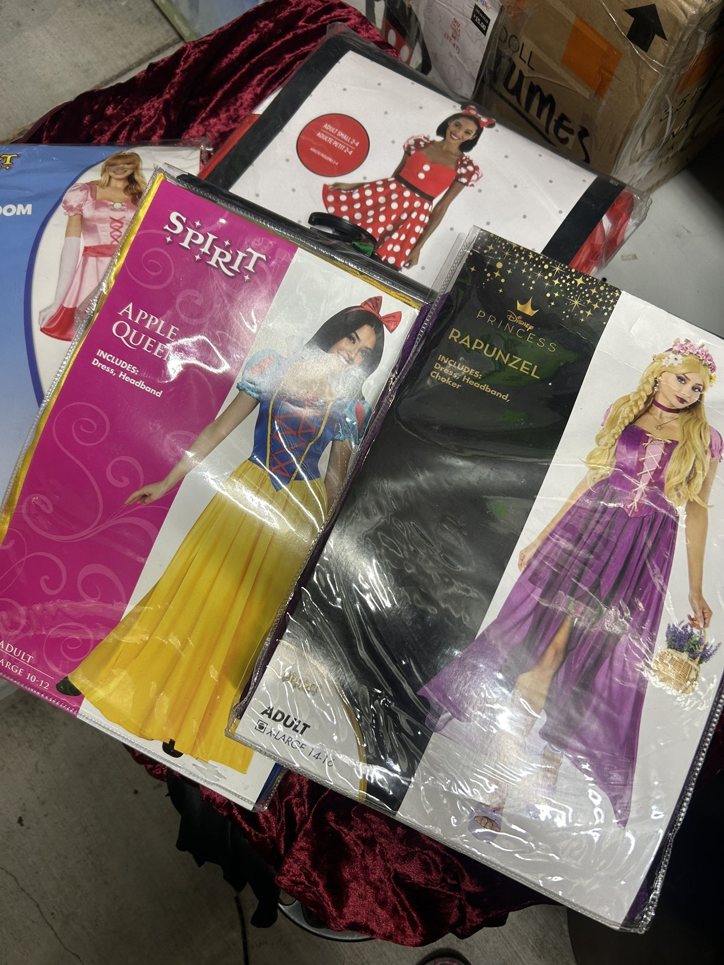 Princess Costumes ! Halloween costumes Adult -New 