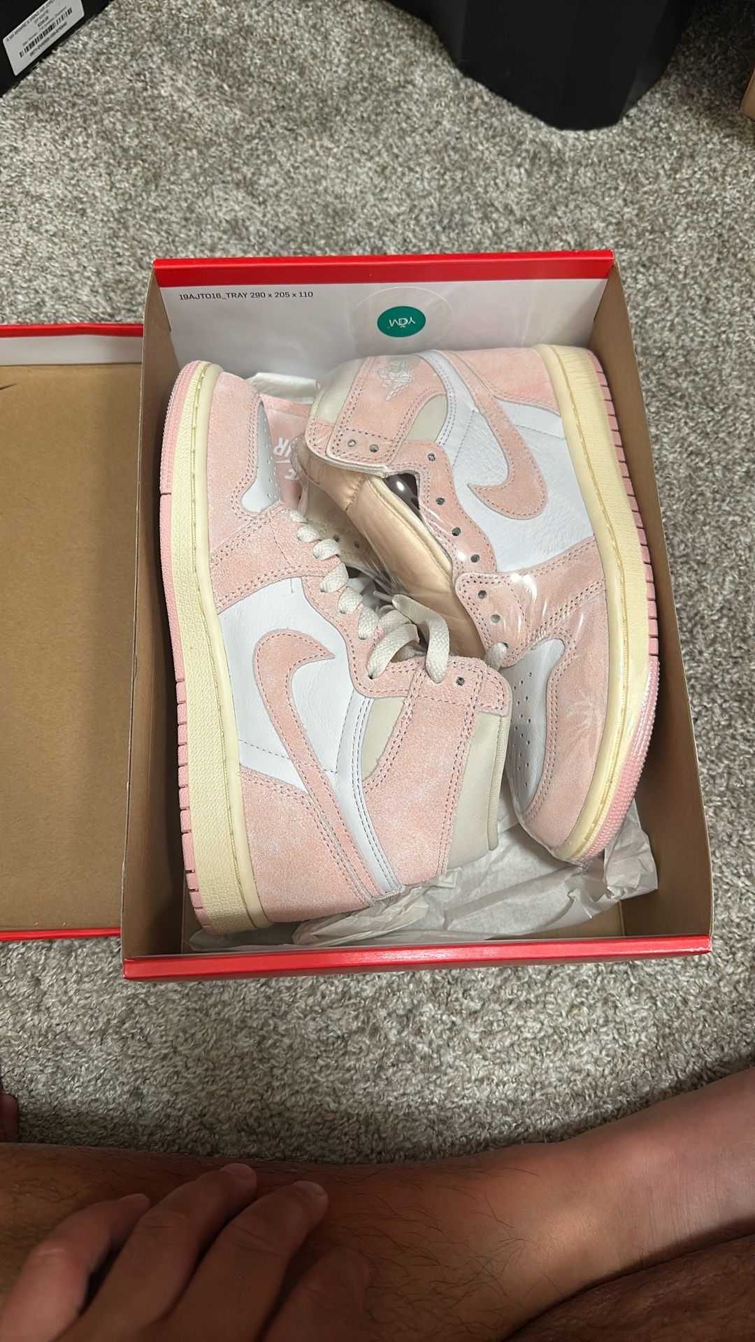 Jordan 1 Washed Pink Size 6.5W