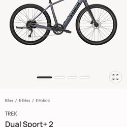 Trek Dual Sport + 2 E Bike