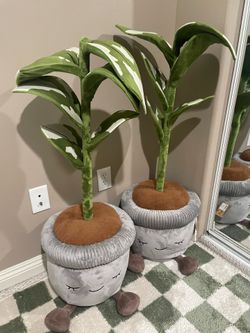 Plants