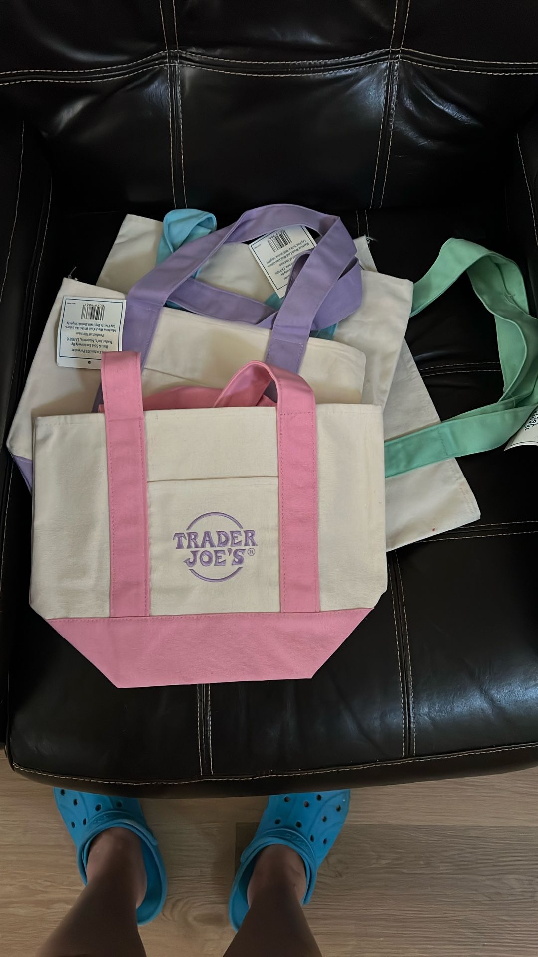 Trader Joe’s Mini Tote Bag