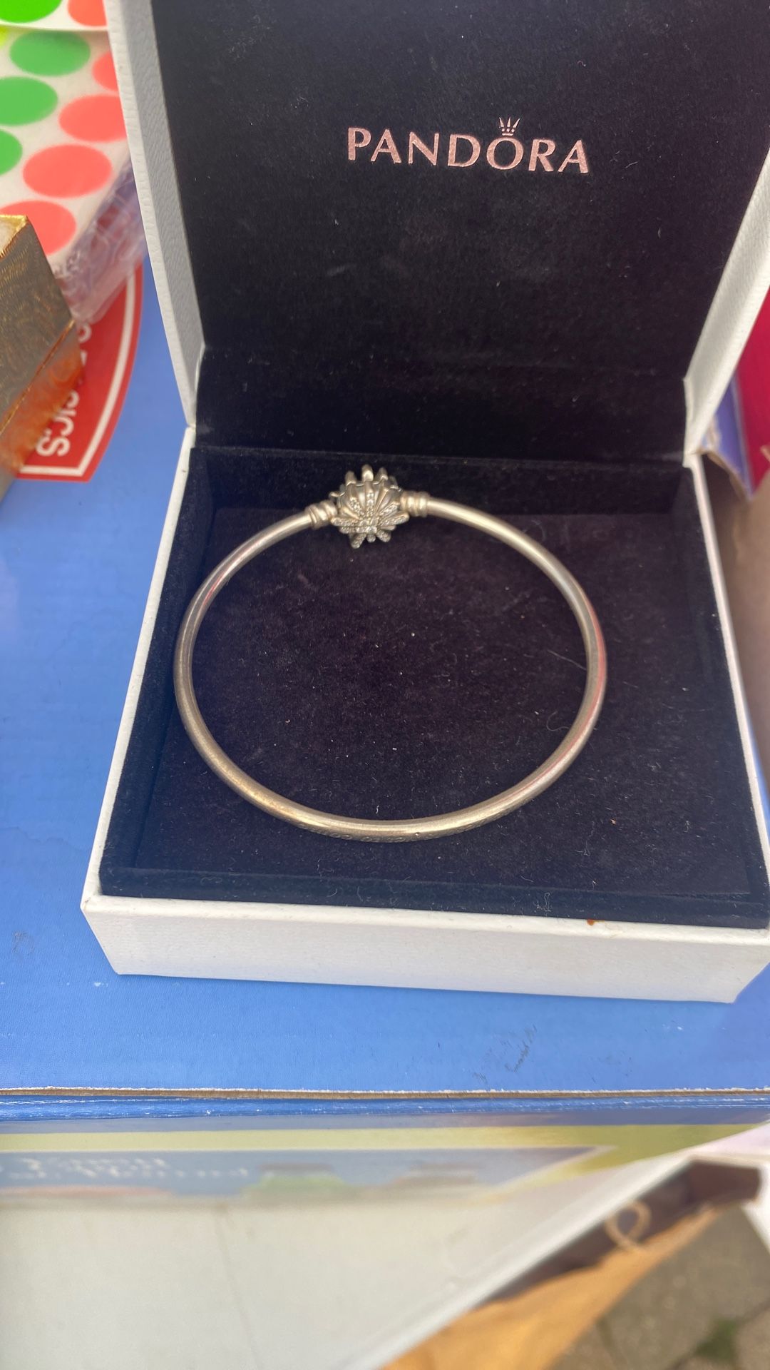 Pandora Bracelet 