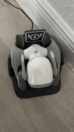 Inteligencia artificial Perro