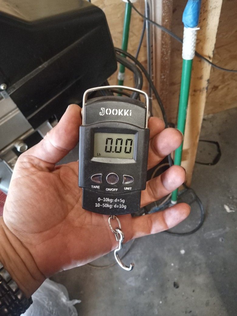 Digital Fish Scale