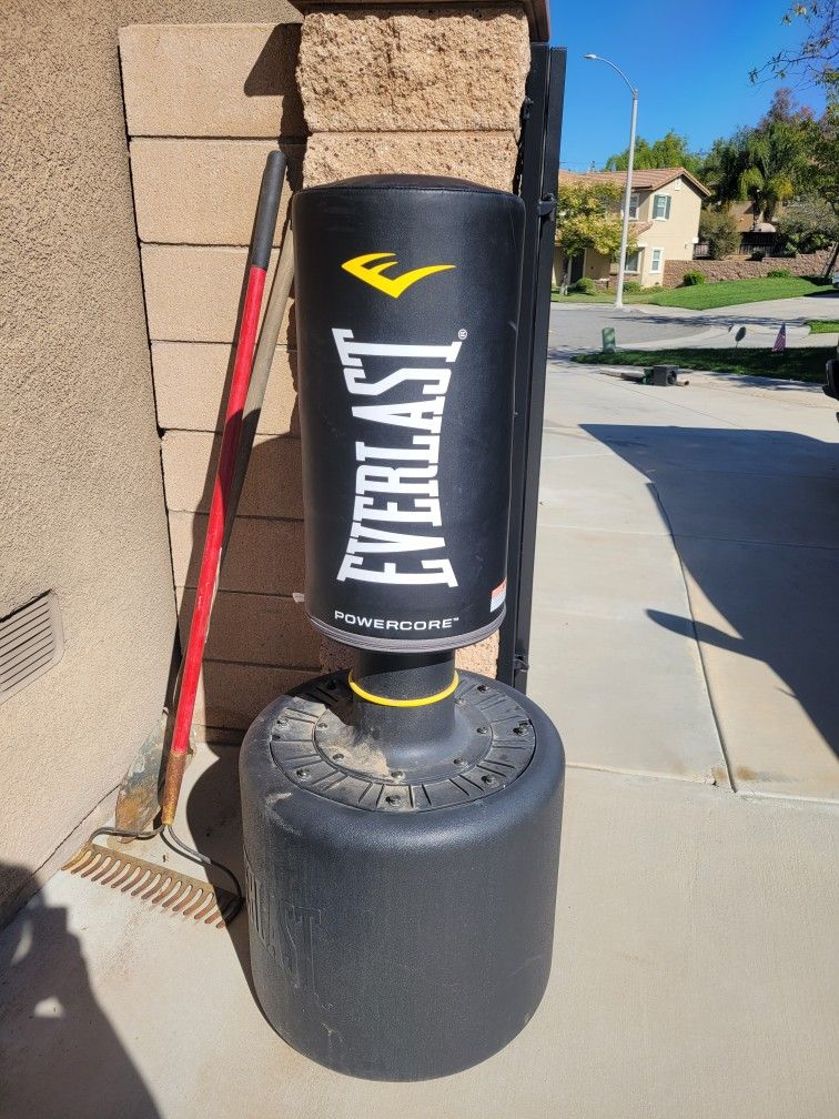 Everlast Punching Bag 
