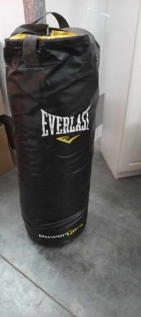 100lb Everlast Powercore Punching Bag
