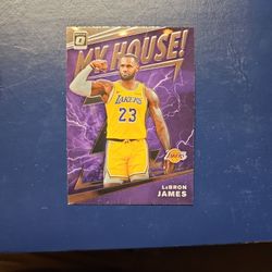 19-20 Pannini Lebron James