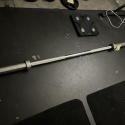 Olympic Dumbbell With Weights 