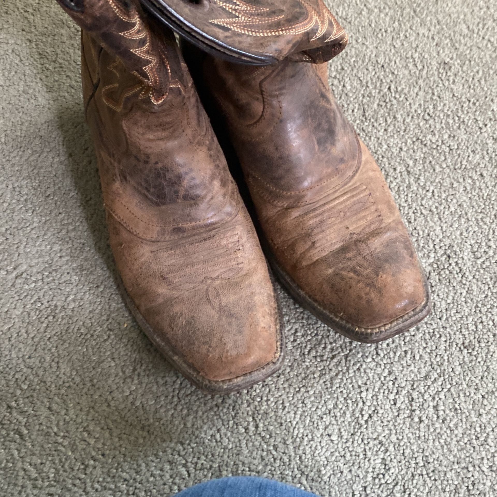 ariat boots 