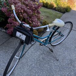 schwinn Jenny Bike 