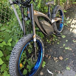 Ecotric Bison 
