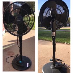 Black Fan 