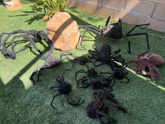 Halloween 11 bundle spiders
