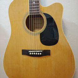 Spectrum Ail 123 Acoustic Guitar