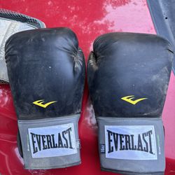 16oz Everlast Boxing Gloves - 2 Pair